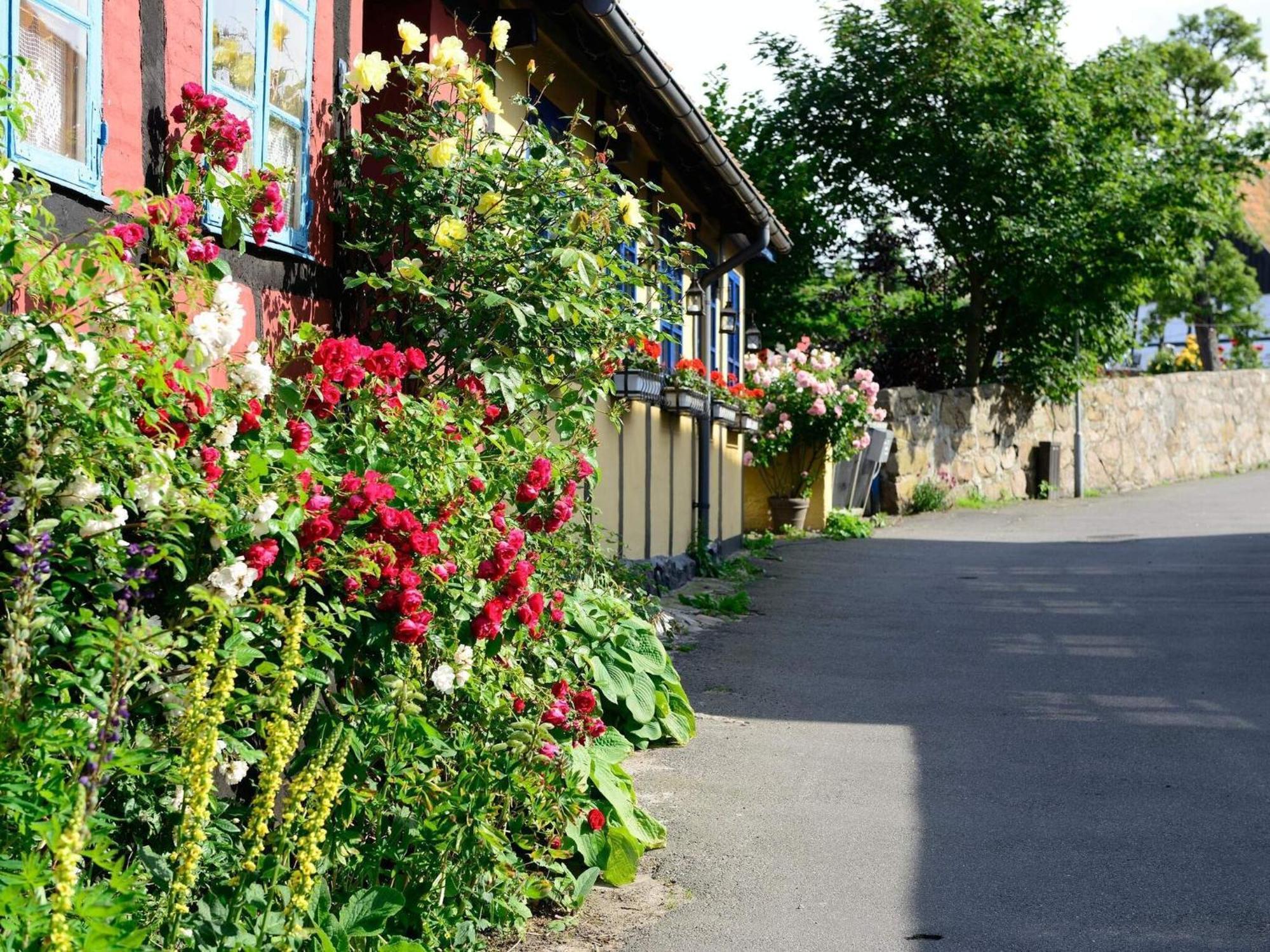 6 Person Holiday Home In Allinge エクステリア 写真